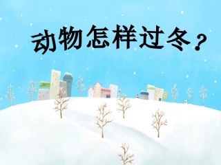 《2-动物怎样过冬》课件1