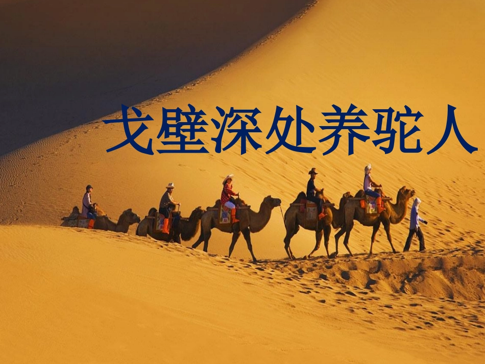 有理数的假发_第1页