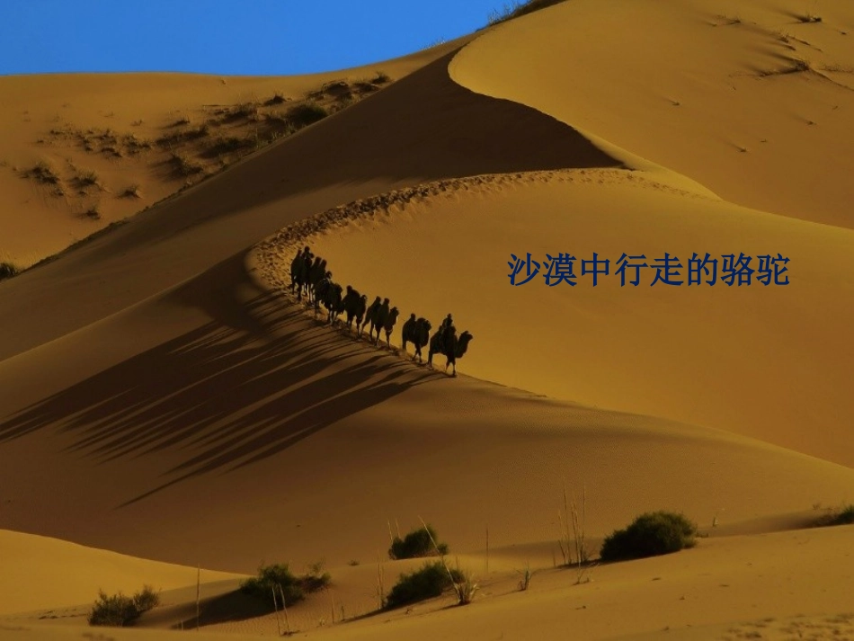 有理数的假发_第2页