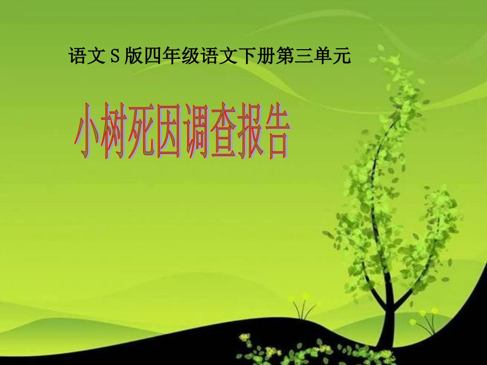 11小树死因调查报告_第1页