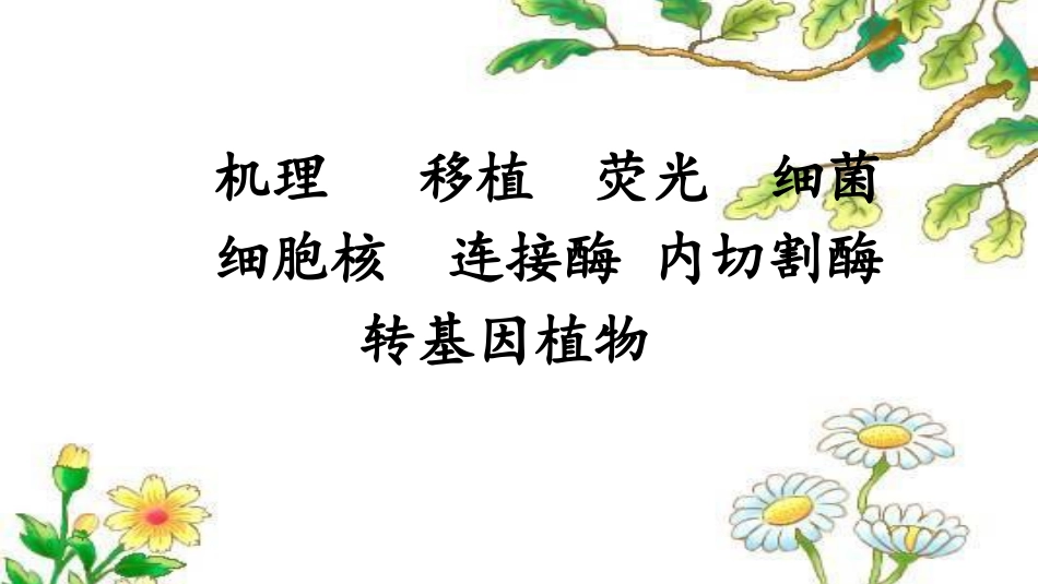 8-人造发光植物_第3页