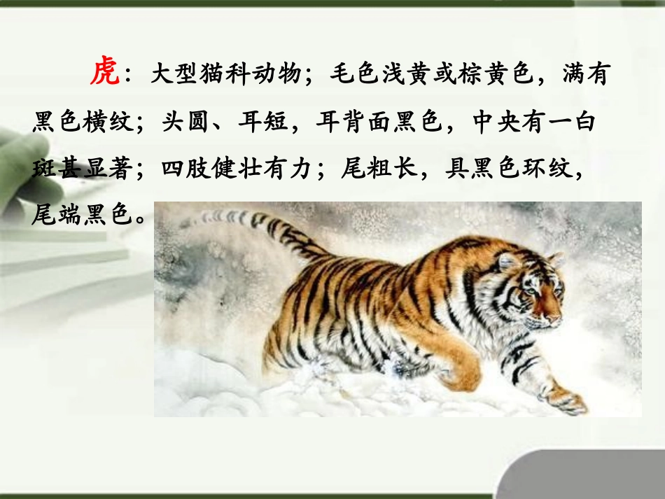 《杨子荣打虎》课件1_第3页