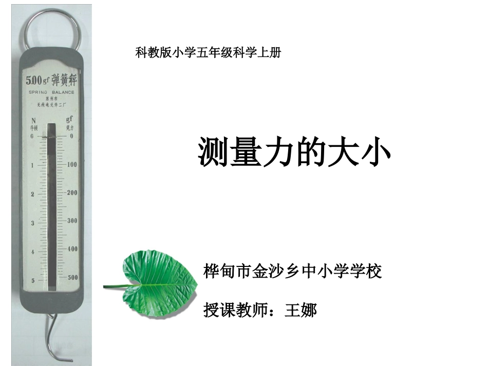 测量力的大小_第1页