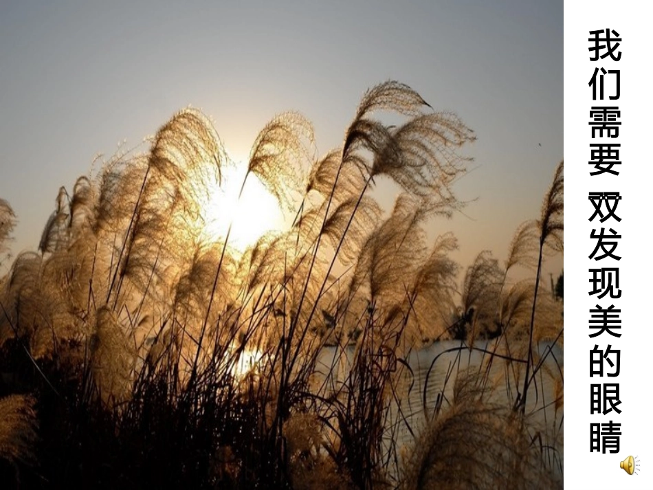 人教版《蒹葭》_第1页