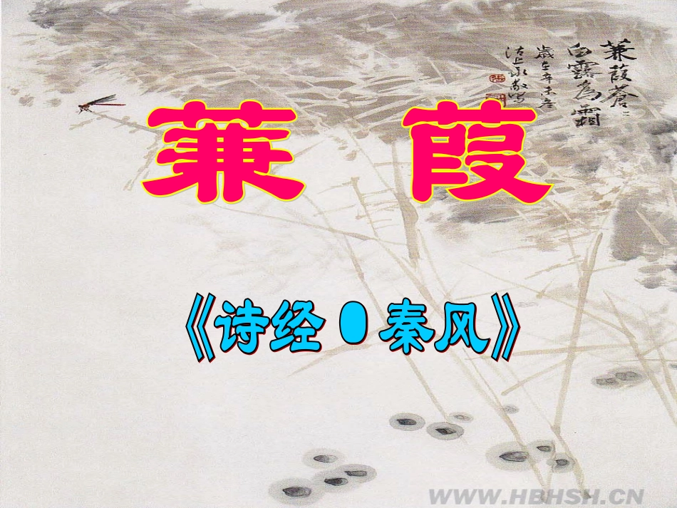 人教版《蒹葭》_第3页