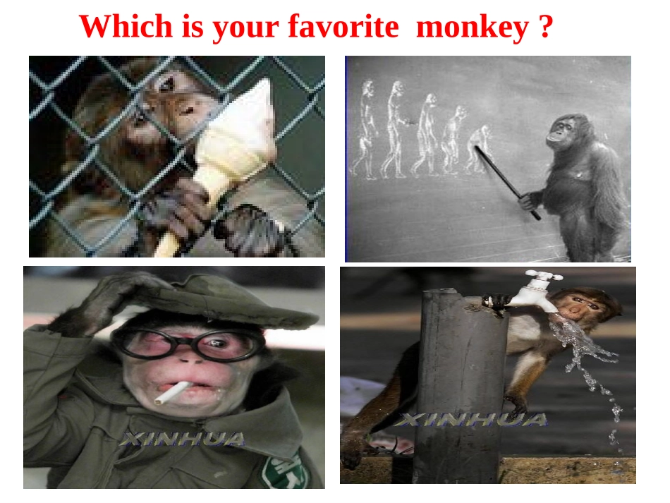 高中牛津M1Unit2Grammar定语从句_第3页