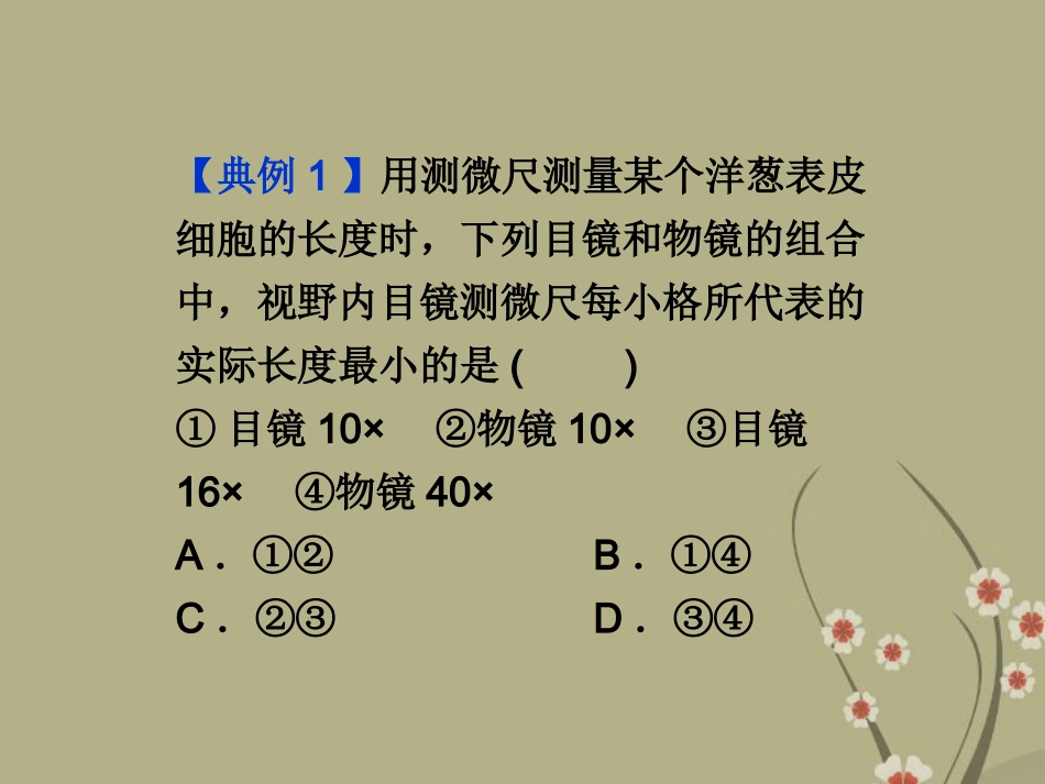 2013届高考生物一轮复习-第九单元-生物与环境-单元综合提升课件-浙科版_第3页