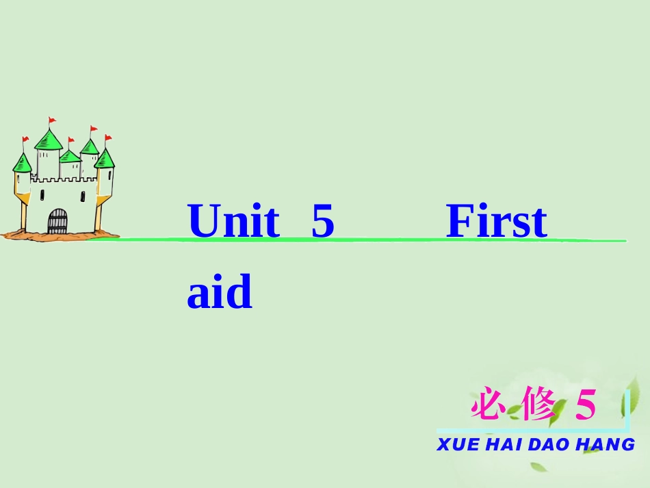 2013届高考英语一轮复习-Unit5-First-aid课件-新人教版必修5(福建专用)_第2页