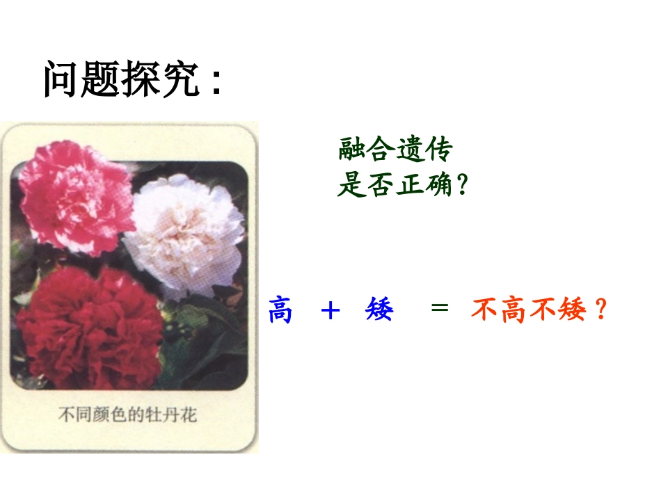 第一节孟德尔遗传试验的科学方法-(2)_第3页