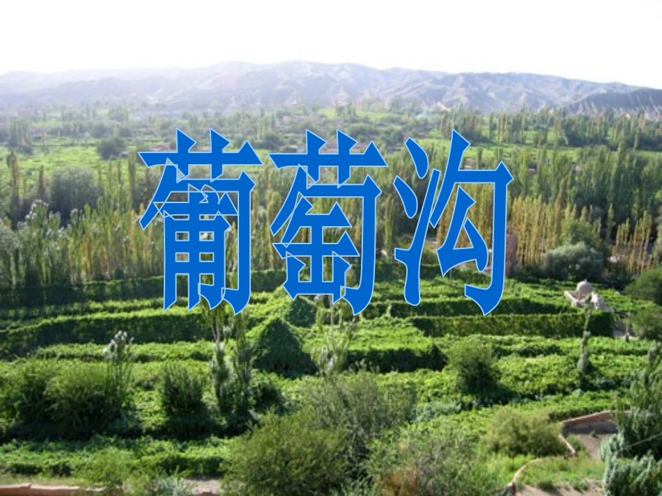 10-葡萄沟_第1页