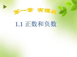 有理数的乘法.1正数和负数(15张ppt)