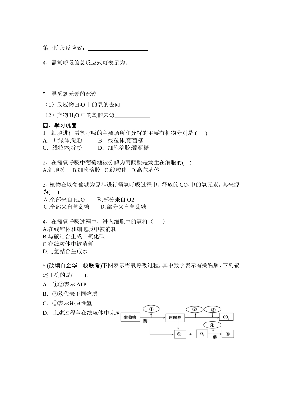 第四节细胞呼吸-(3)_第2页