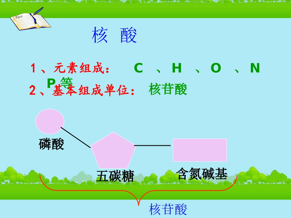高中生物《有机化合物与生物大分子》课件3-浙科版必修1_第2页