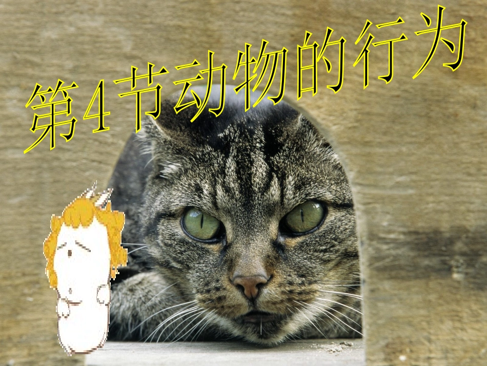 浙江省台州温岭市松门镇育英中学八年级科学上册-3.4-动物的行为课件-浙教版_第1页
