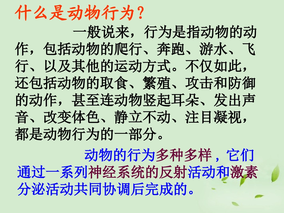 浙江省台州温岭市松门镇育英中学八年级科学上册-3.4-动物的行为课件-浙教版_第3页