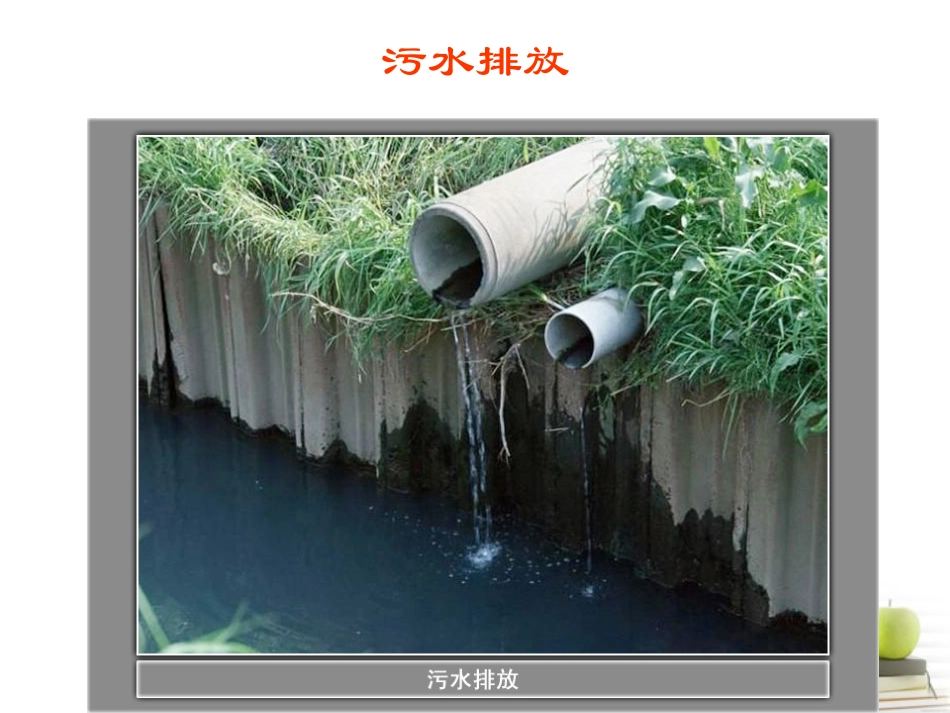 4-7考察家乡的自然水域_第2页