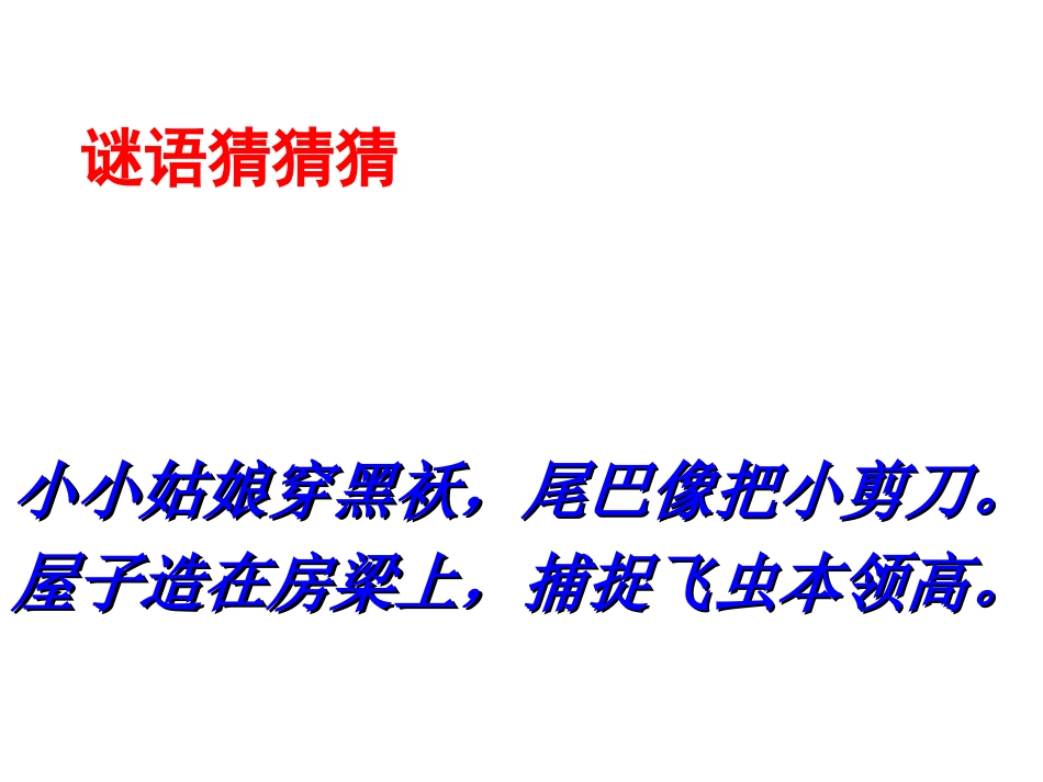三年级下册1.《燕子》教学课件_第1页