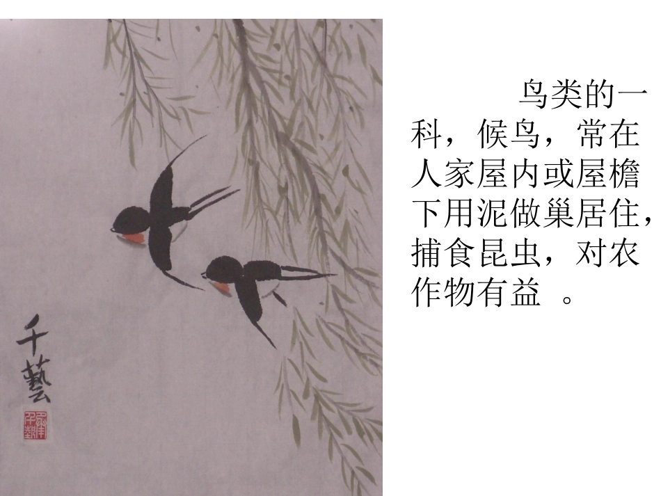 三年级下册1.《燕子》教学课件_第2页