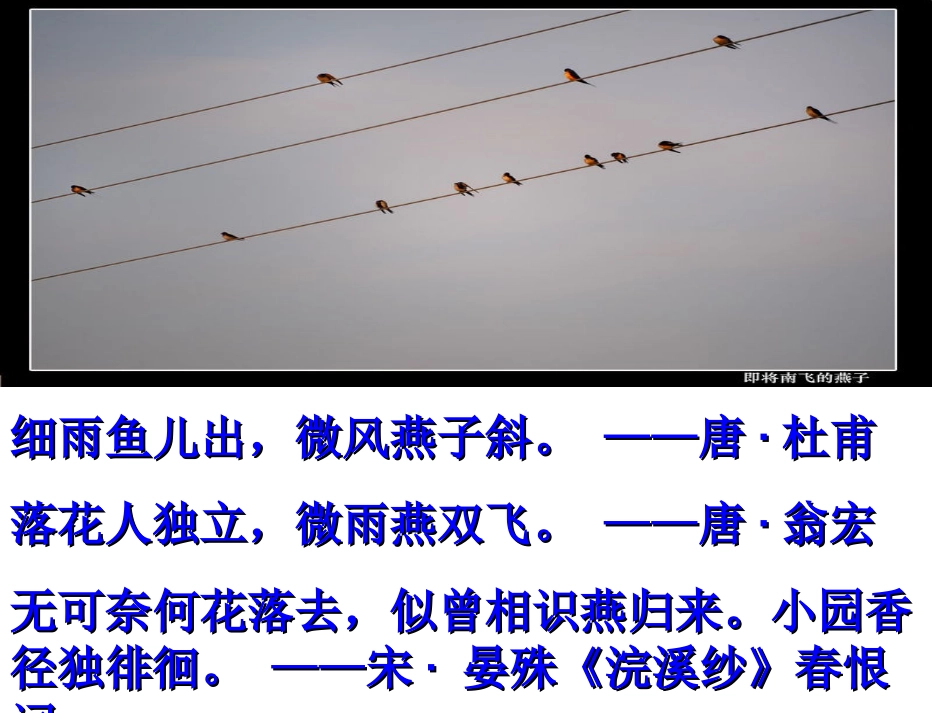 三年级下册1.《燕子》教学课件_第3页