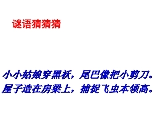 三年级下册1.《燕子》教学课件