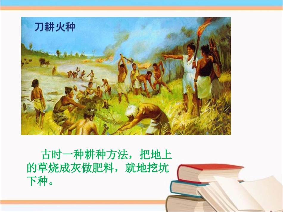 《从远古走来》课件1_第3页
