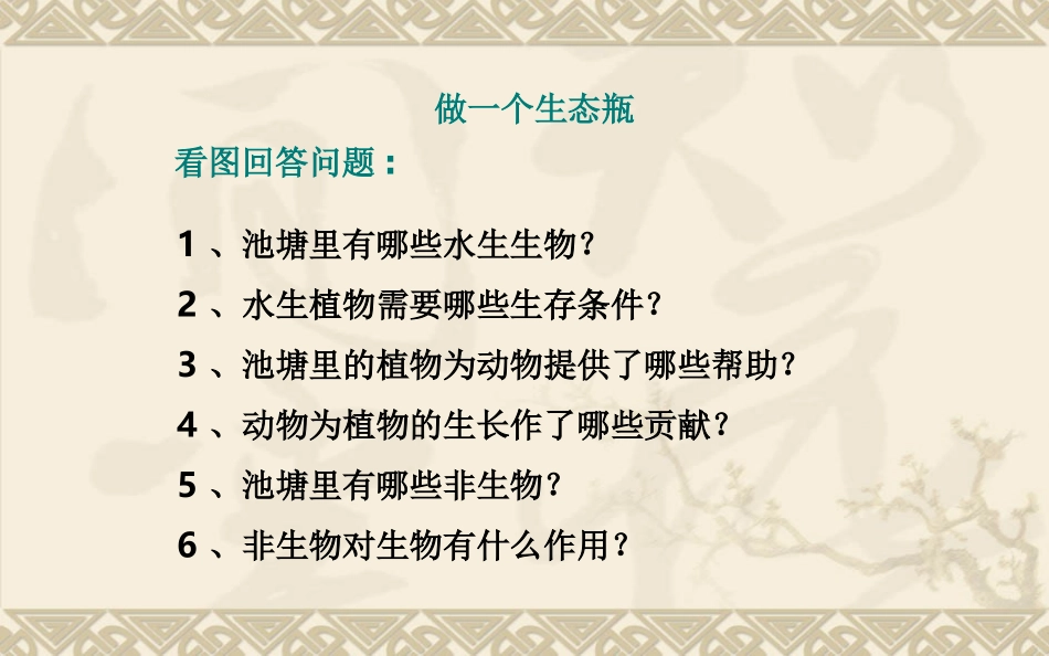 做一个生态瓶_第3页