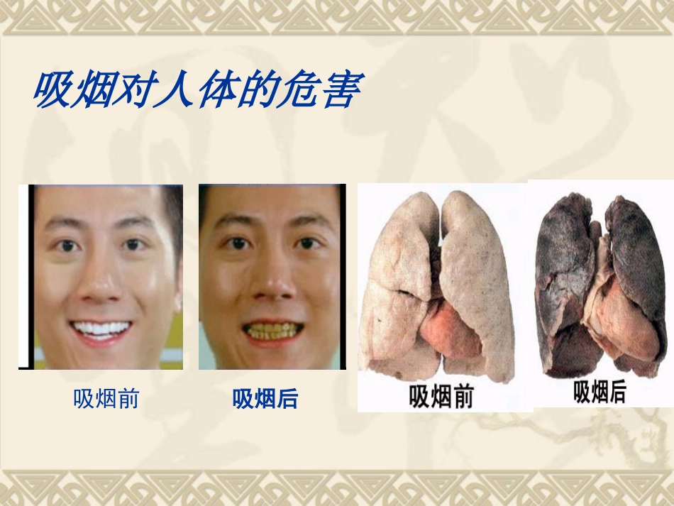 男(女)生成套动作-(3)_第2页