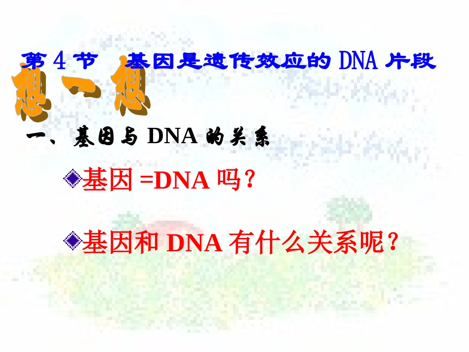 3.4《基因是有遗传效应的DNA片段》-课件10-唐蓓_第3页