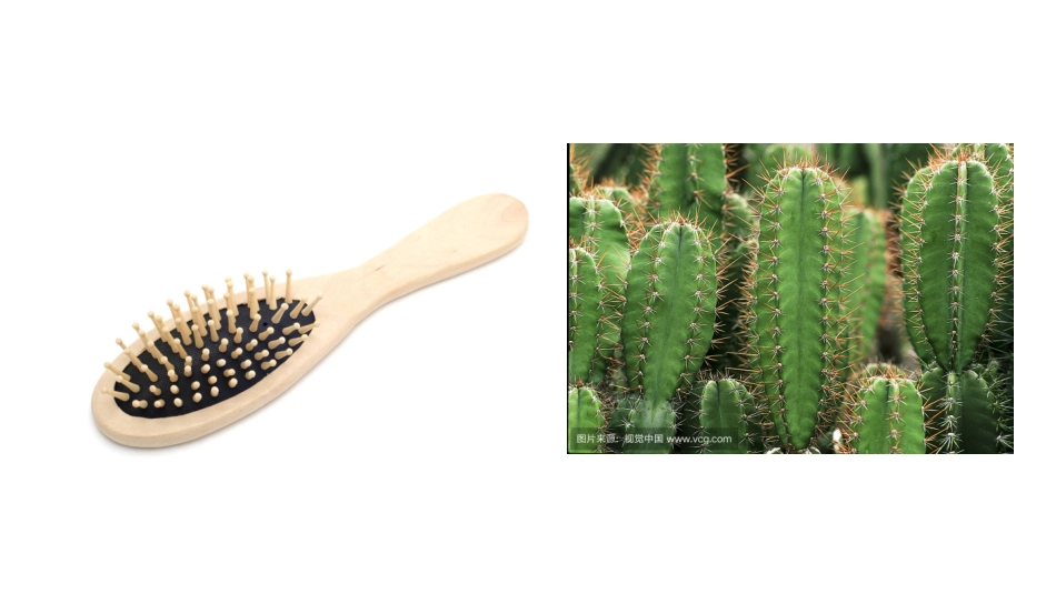 3.图形与联想_第1页