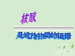 高中生物-3.1《核酸是遗传物质的证据》课件(2)-浙科版必修2