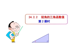 锐角的三角函数