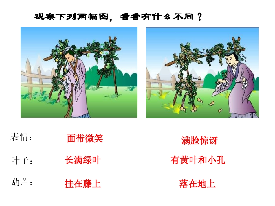 我要的是葫芦_第3页