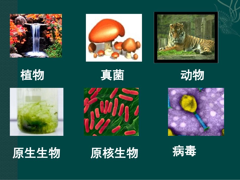 高中生物：-21-细胞中的原子和分子(课件)苏教版必修1_第1页