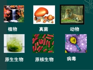 高中生物：-21-细胞中的原子和分子(课件)苏教版必修1