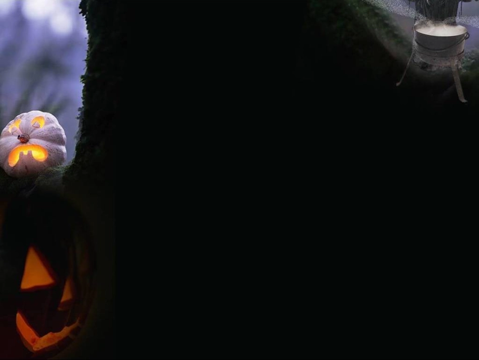 7B-U5-Reading(1)_第2页