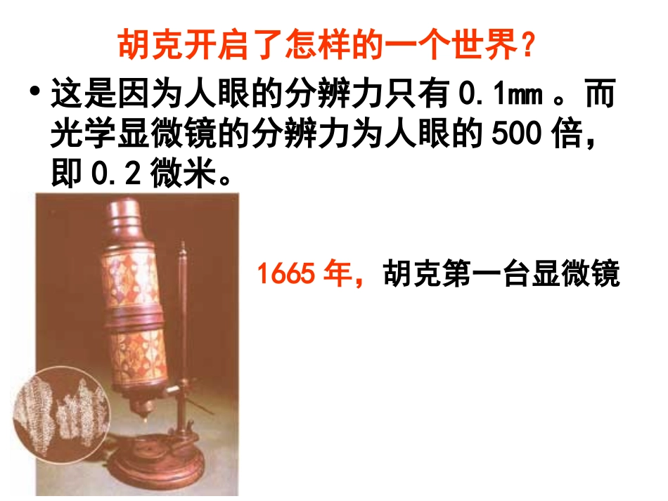 第一节细胞概述_第3页
