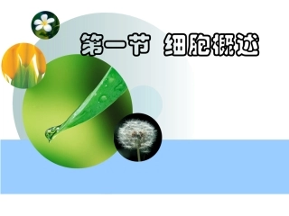第一节细胞概述