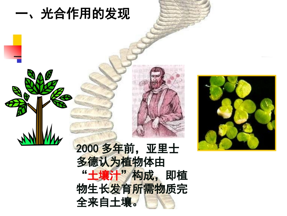 第五章第四节光合作用25ppt-人教版_第3页