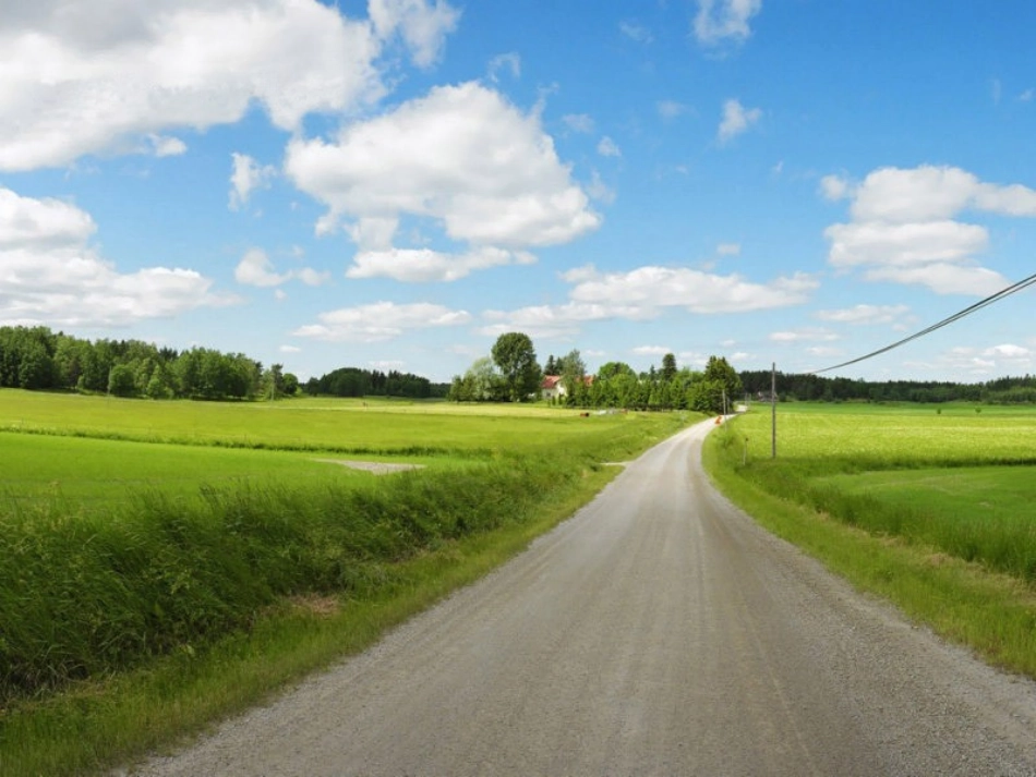 9《自己的小路》ppt课件2_第2页