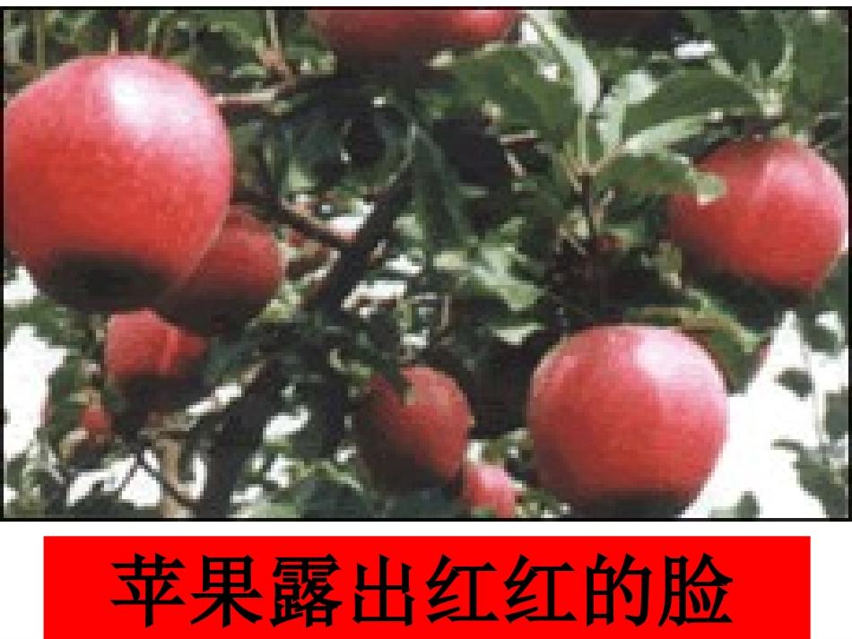 二年级语文上册第一组第一课时课件_第3页