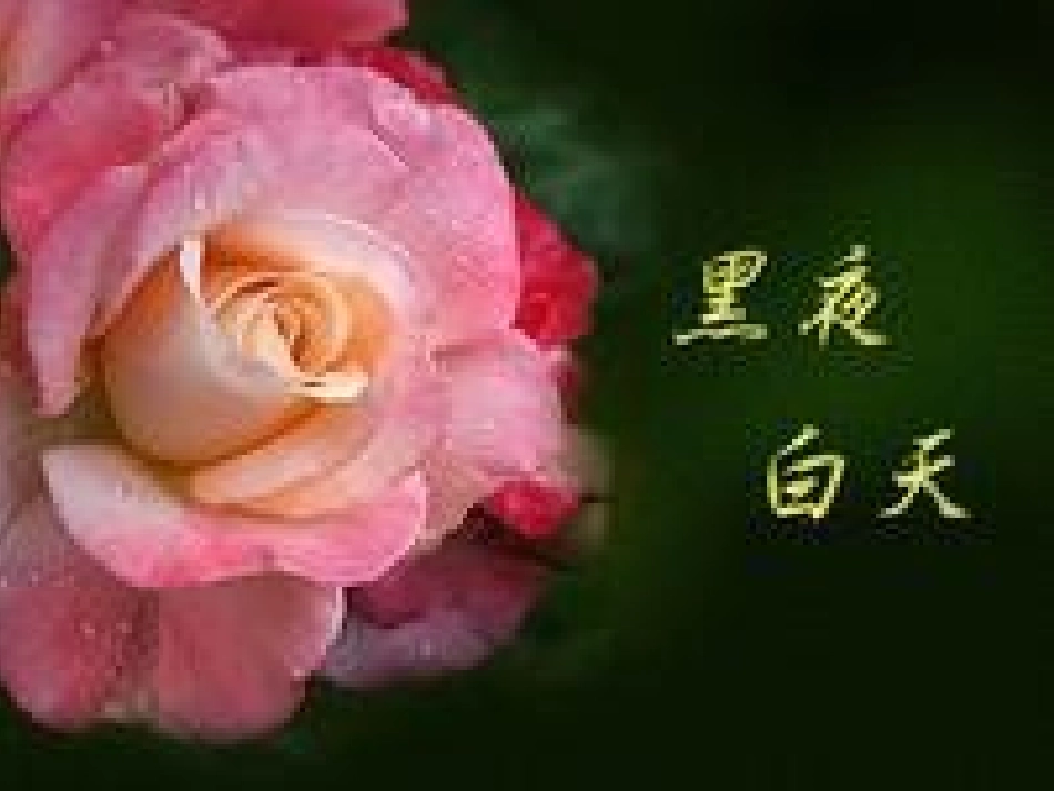 人教版五年级数学上册《循环小数》_第3页