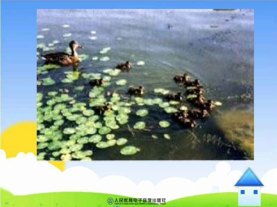 《生物与环境的关系》课件(1)_第3页