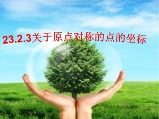 23.2.3关于原点对称的点的坐标.PPT