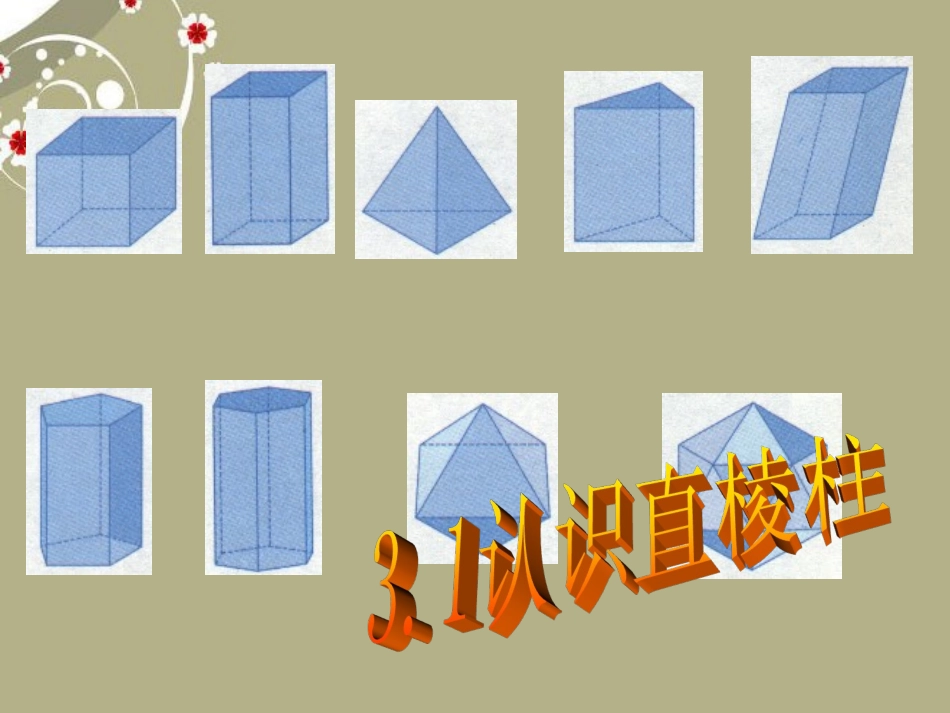 浙江省慈溪市横河初级中学八年级数学上册-3.1认识直棱柱课件_第3页