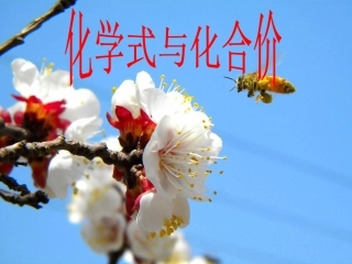 课题4化学式与化合价