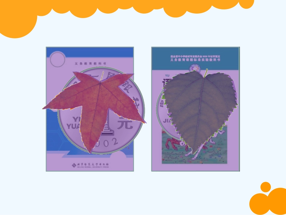 小学数学北师大2011课标版三年级北师大版三年级数学下册第五单元第一节课《什么是面积》_第2页