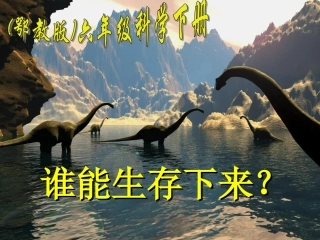(鄂教版)六年级科学下册课件谁能生存下来1