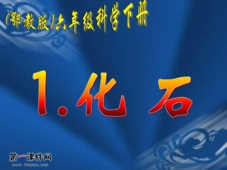 (鄂教版)六年级科学下册课件化石1