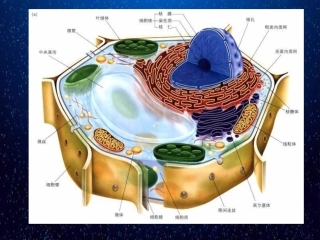 科学前沿组装细胞-(7)
