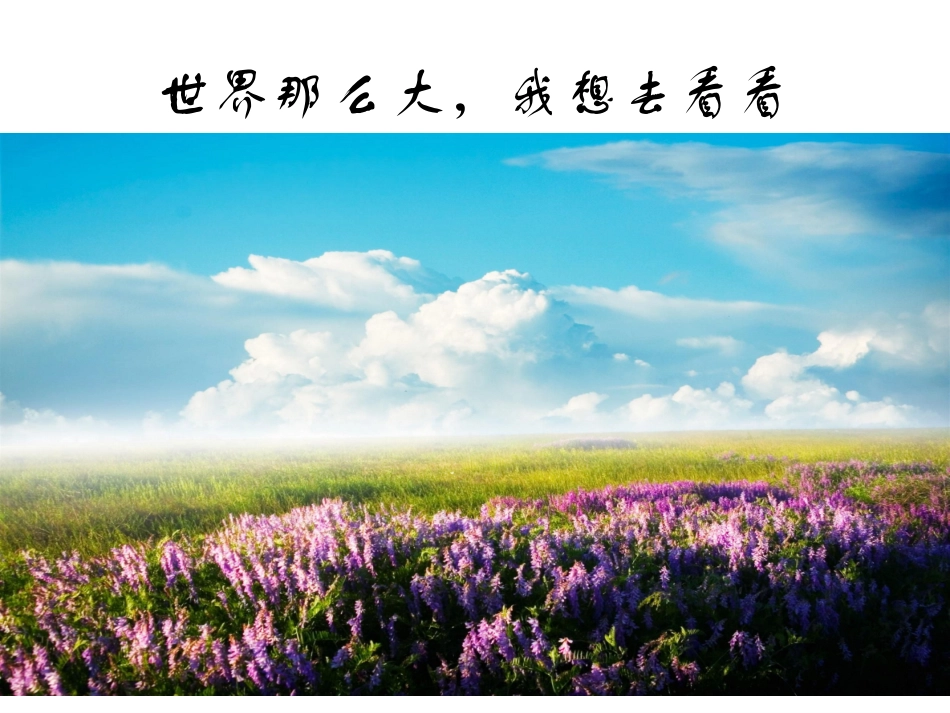 第4课设计生活标志_第1页